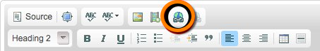 Toolbar with insert link button circled